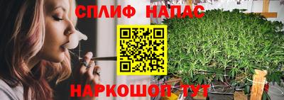 сатива Нягань
