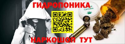 МДПВ Новодвинск