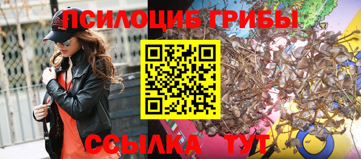 Псилоцибиновые грибы Cubensis Советский