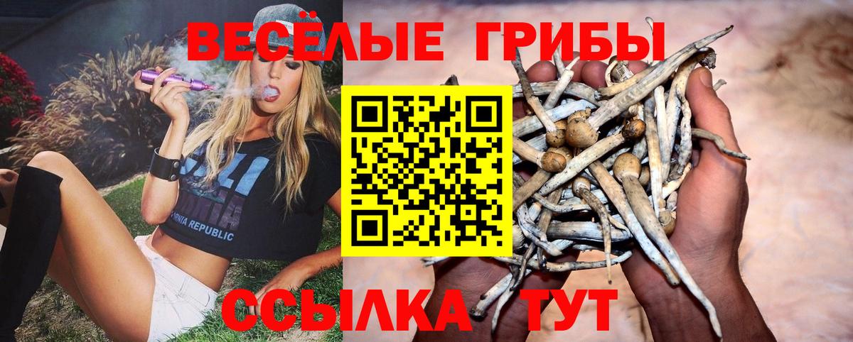 Псилоцибиновые грибы ЛСД  Вход с VPN  Советский 